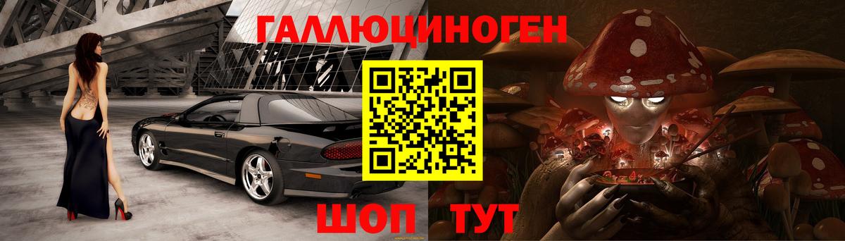 Великий Новгород  Галлюциногенные грибы Cubensis  Вход с VPN 